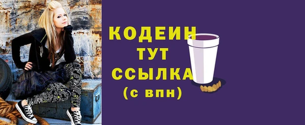 ECSTASY Горняк