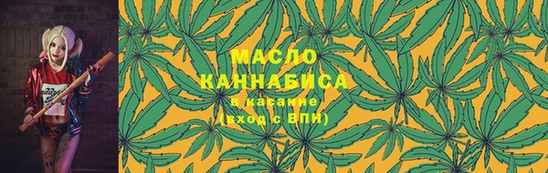 ECSTASY Горняк