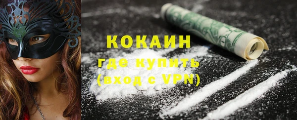 индика Гусиноозёрск
