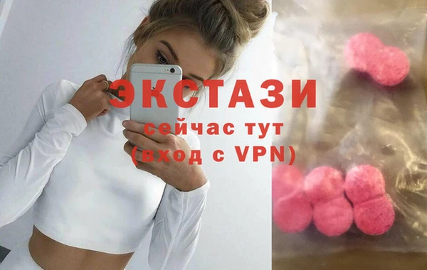 ECSTASY Горняк